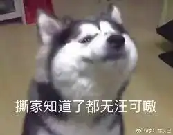 歌神洞庭湖表情包表情包