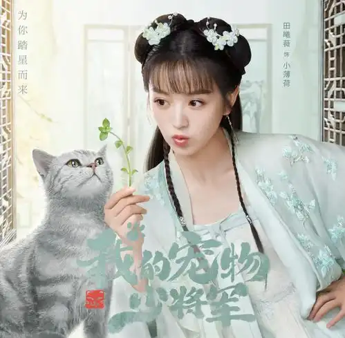 俗到极致就是雅又一部甜宠剧,套路满满看完让人上头,不输来自星星的你