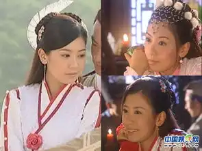 古装剧头饰廉价范冰冰假花刷屏芈月传顶鸡毛
