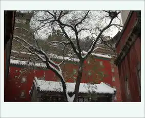 颐和园赏雪专辑第3页wujr
