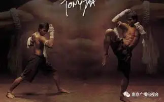 全世界最硬朗的汉子们来南京打架快来看劲爆现场文末有福利