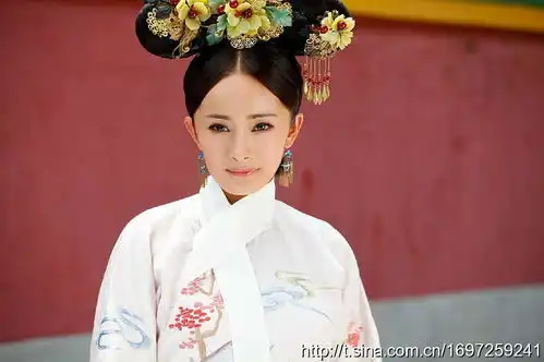 宫剧照