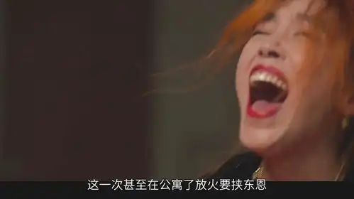 黑暗荣耀东恩妈妈要放火烧屋子
