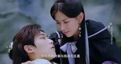 双世宠妃3皇上终究放下了手中的剑,原来连城公子真的走了
