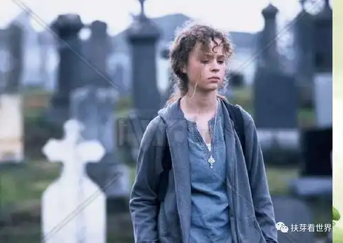 电影推荐人生有很多路可以选择,没有退路才会义无反顾电影风雨哈佛路