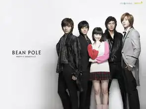 各地的流星花园,每版的剧照