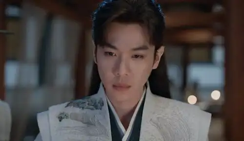 庆余年2袁先生背叛,林若甫发现范闲杀林珙,用林大宝报复范闲
