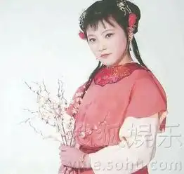 87版红楼梦定妆照美人如故经典永恒
