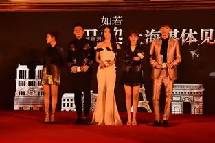 张翰新剧如若巴黎不快乐见面会

