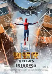 蜘蛛侠英雄归来高清剧照
