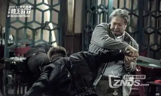 我的特工爷爷免费看论一只灵活胖爷爷的侠骨柔情