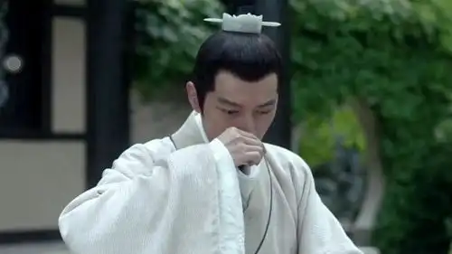 琅琊榜太奶奶这么多皇孙,为何独宠林殊一人多年后才终于明白