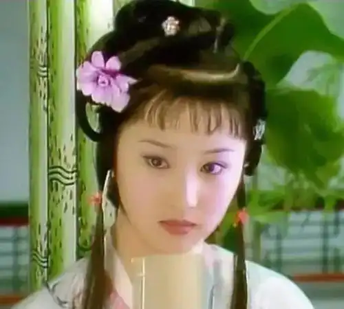 刘亦菲版的林黛玉少了忧郁古典内敛惹人怜爱的气质
