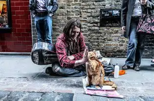 流浪猫鲍勃戒毒重塑人生