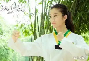 张雪迎李恩秀旋风少女剧照大放送曝其是天才少女宗师
