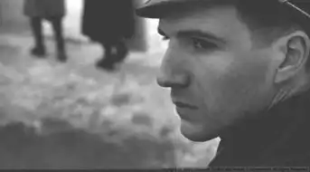 拉尔夫费因斯丨有多邪恶就有多优雅