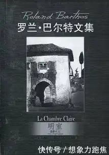 摄影是牛奶,是不期而遇,是完全意义上的真实
