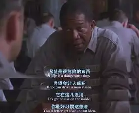 肖申克的救赎世间最痛苦莫过于身陷囚笼却还不自觉,丧失希望却无能为力
