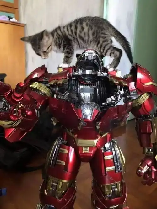 铲屎官买了一个机器人模型,结果小猫咪坐进去后...
