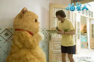 青禾男高vs喵星人
