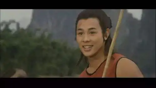 30年前,李连杰给身怀六甲的妻子打电话说我找到真爱了,离婚吧
