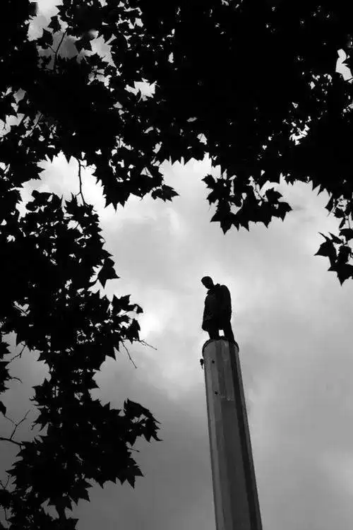 这个疯狂的艺术家,把飞屋环游记搬到了现实