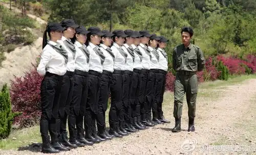 电视剧喋血孤岛剧情介绍