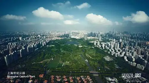 新场微雕大师在浦东形象片里的第一次