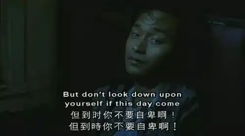 阿飞正传从未飞起的那只鸟
