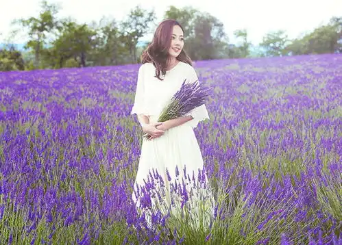 因延禧攻略中角色过于狠辣遭恶评,张嘉倪十二字回应