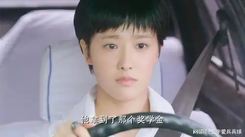 微笑母亲水月开出租车,碰见前男友人的妈,负心汉的缺德娘