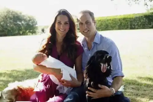 快来看看,你有皇室同款汪吗