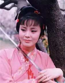 红楼梦作者为什么将小小的花枝巷与偌大的贾府比照来写
