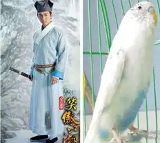 新笑傲江湖结局大曝光陈乔恩霍建华幕后搞笑花絮
