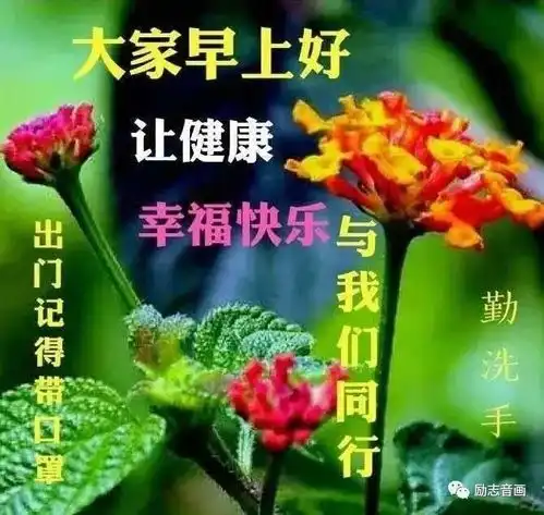 6月最新漂亮早安图片鲜花带字最美早上好问候语图片带字温馨
