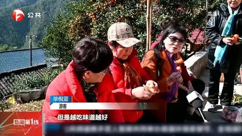 祁门桔子红了,桔民笑了