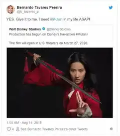 花木兰一张定妆照炸出一堆老外亲妈粉,拍不好导演就变尔晴了
