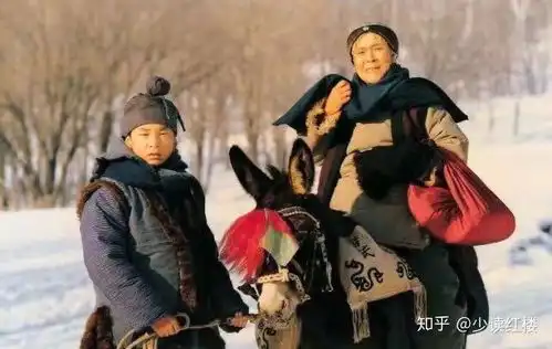 板儿一个农村孩子的豪门见闻