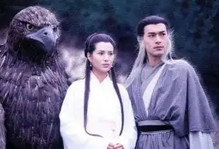 重点保护鸟类五