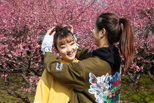 上海欢乐谷桃花妆让闺蜜遇见更美的彼此关于我们新闻详情
