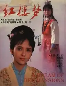 扒扒89电影版红楼梦10大美女演员现状