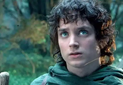 指环王佛罗多登岛卖大头菜,动森玩家招待了一位大明星