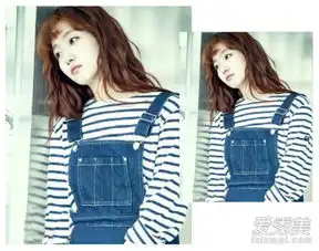 奶酪陷阱金高银狗毛发型萌出新高度