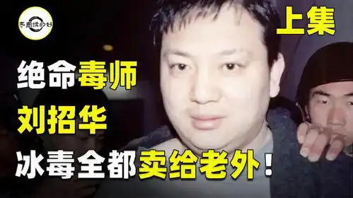 绝命毒师刘招华,制造冰毒31吨,死刑前狂言我对祖国有大功劳