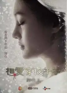 相爱穿梭千年剧照
