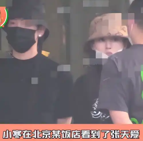 太子妃升职记捧红的盛一伦张天爱,时隔多年聚餐后回家传绯闻
