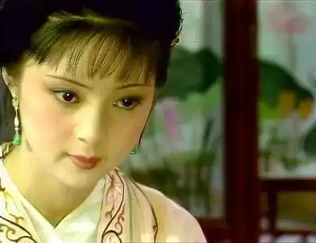 那些年,我们一起追的古装美人
