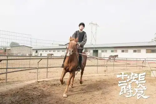 骑马超帅的易烊千玺
