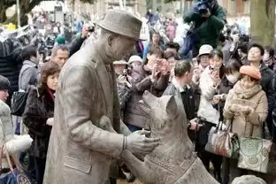 让人泪目的等待忠犬八公与主人90年后的重逢