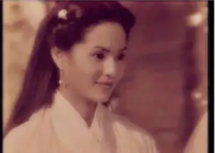 李若彤感情受挫后留阴影不想再开始新感情